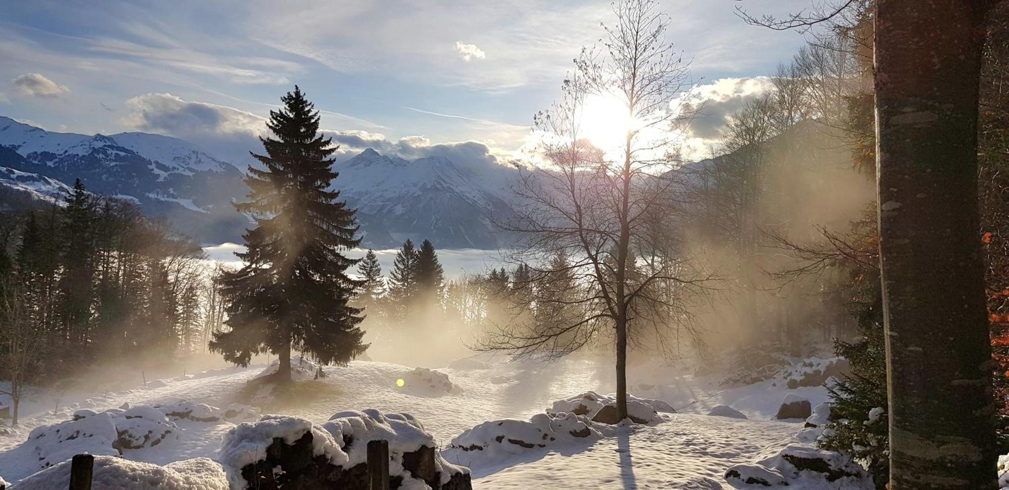 Gemuetliche Fewo Mit Sauna Inmitten Der Berge Meiringen Bagian luar foto