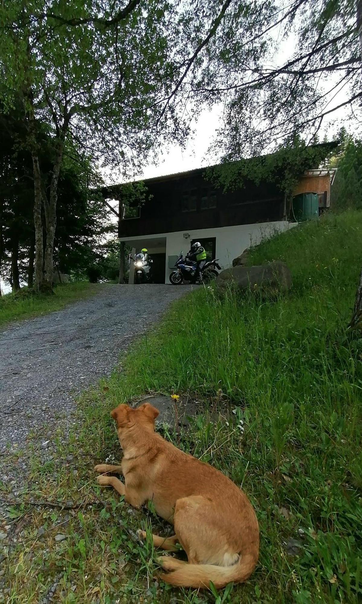 Gemuetliche Fewo Mit Sauna Inmitten Der Berge Meiringen Bagian luar foto