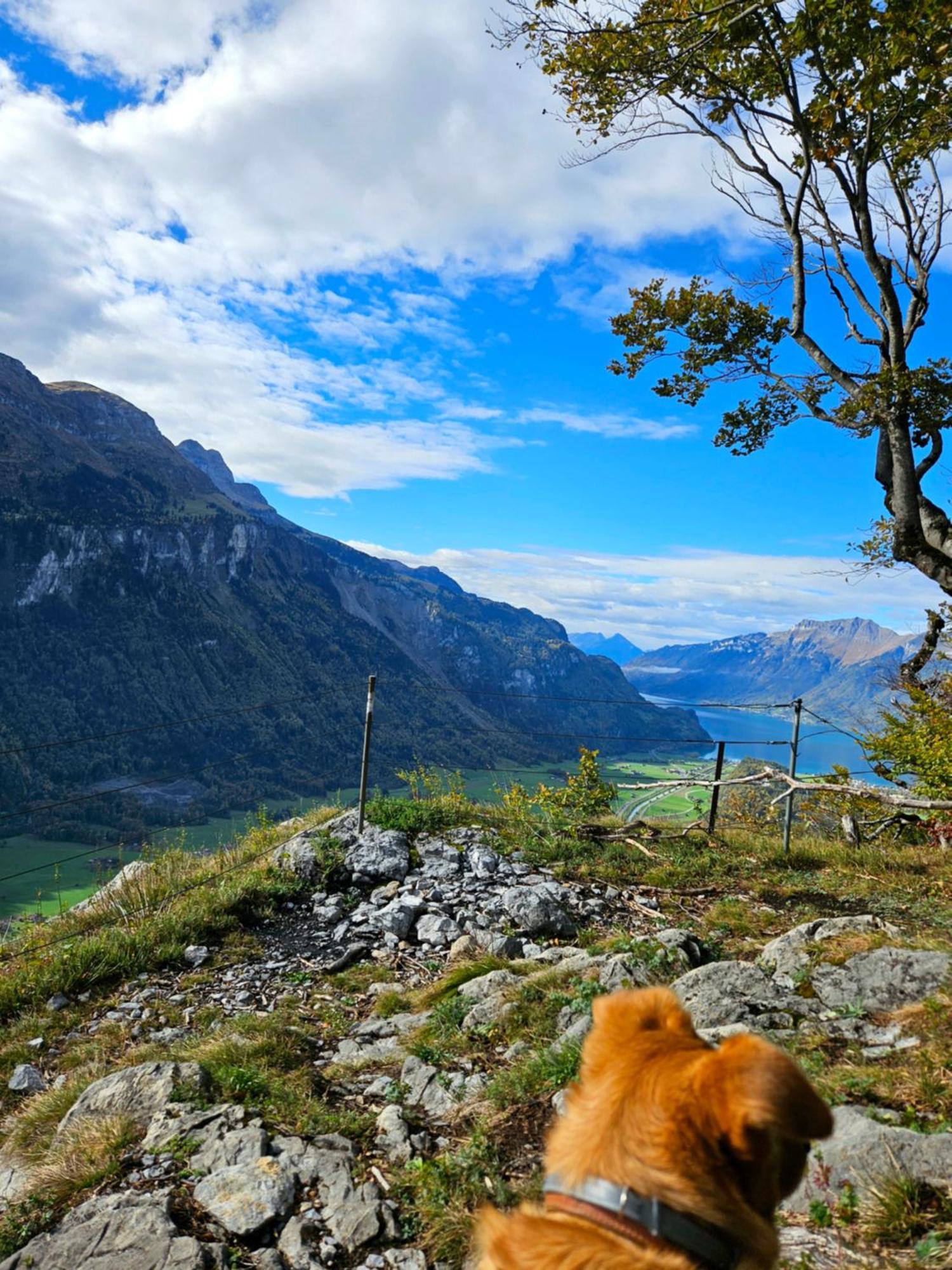 Gemuetliche Fewo Mit Sauna Inmitten Der Berge Meiringen Bagian luar foto